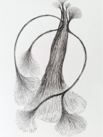 peripheries