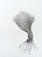 peripheries